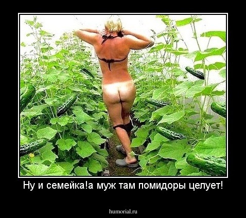 Ну и семейка!а муж там помидоры целует!