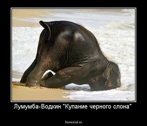 Лумумба-Водкин "Купание черного слона" 