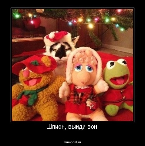 Шпион, выйди вон.