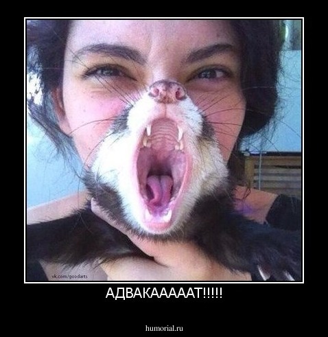 АДВАКАААААТ!!!!!