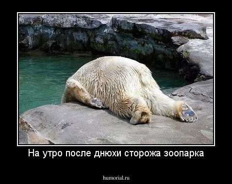 На утро после днюхи сторожа зоопарка
