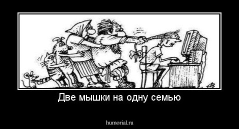 Две мышки на одну семью
