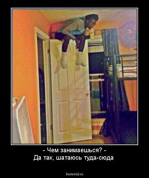 - Чем занимаешься? - Да так, шатаюсь туда-сюда