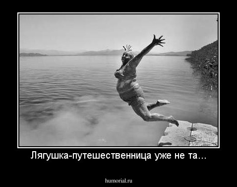 Лягушка-путешественница уже не та...