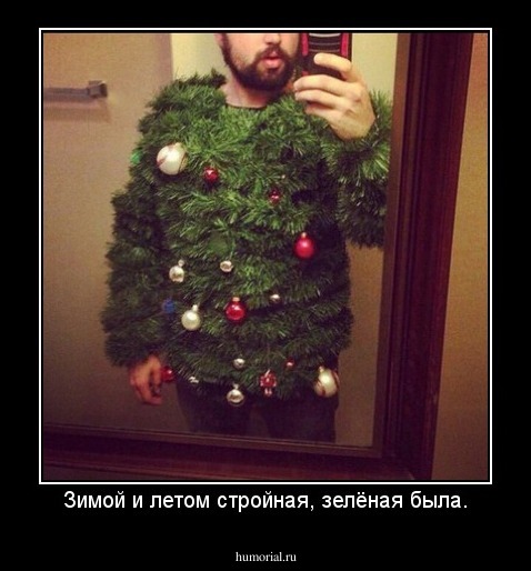 Зимой и летом стройная, зелёная была.
