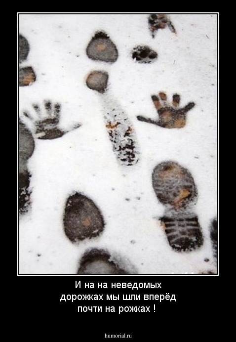 И на на неведомых дорожках мы шли вперёд почти на рожках !