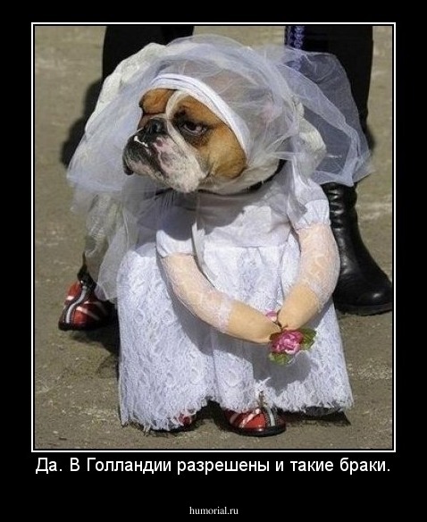 Да. В Голландии разрешены и такие браки.