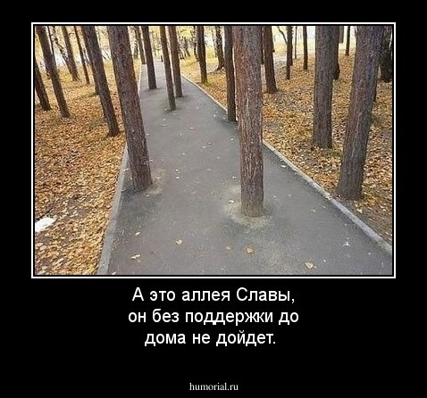 А это аллея Славы, он без поддержки до дома не дойдет.
