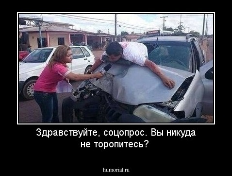 Здравствуйте, соцопрос. Вы никуда не торопитесь?