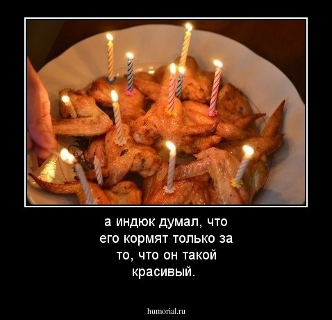а индюк думал, что его кормят только за то, что он такой красивый.