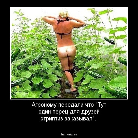 Агроному передали что "Тут один перец для друзей стриптиз заказывал".