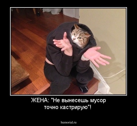 ЖЕНА: "Не вынесешь мусор точно кастрирую"!