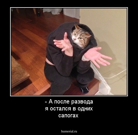 - А после развода я остался в одних сапогах 