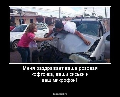 Меня раздражает ваша розовая кофточка, ваши сиськи и ваш микрофон!
