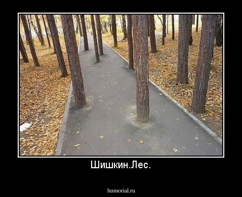 Шишкин.Лес.