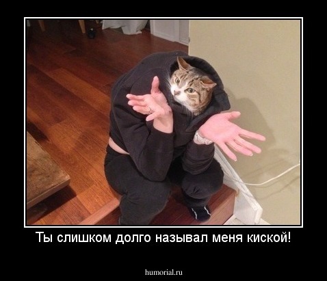 Ты слишком долго называл меня киской!
