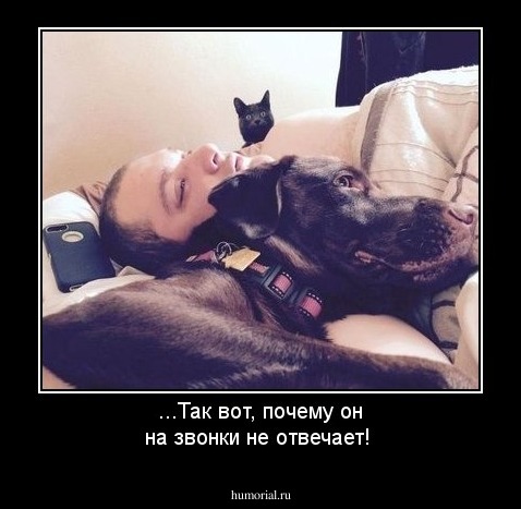 ...Так вот, почему он на звонки не отвечает!