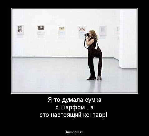 Я то думала сумка с шарфом , а это настоящий кентавр!