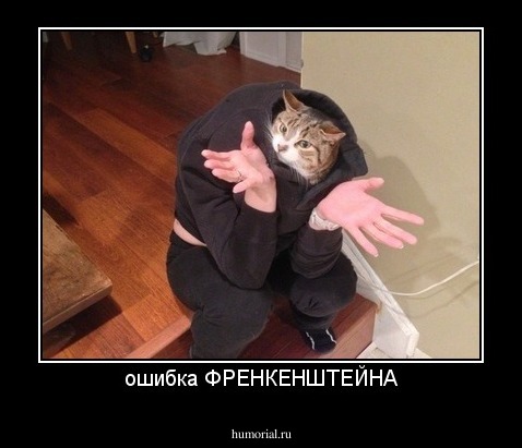ошибка ФРЕНКЕНШТЕЙНА