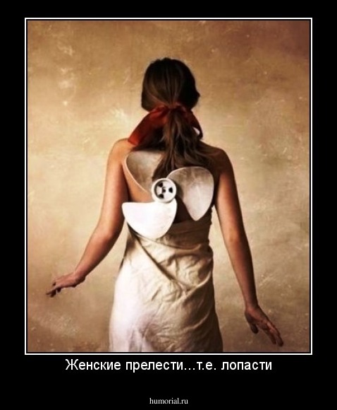 Женские прелести...т.е. лопасти