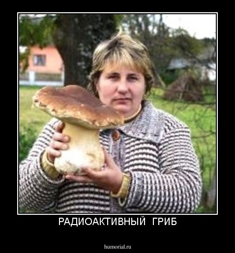РАДИОАКТИВНЫЙ  ГРИБ