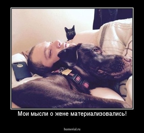 Мои мысли о жене материализовались!