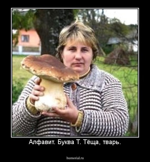 Алфавит. Буква Т. Тёща, тварь.