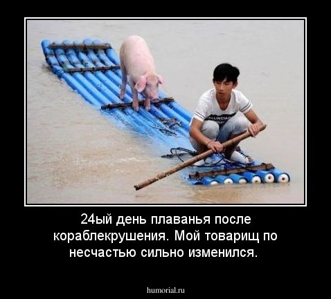 24ый день плаванья после кораблекрушения. Мой товарищ по несчастью  сильно изменился.