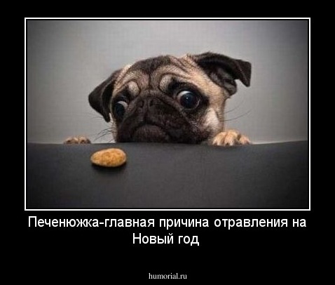 Печенюжка-главная причина отравления на Новый год 