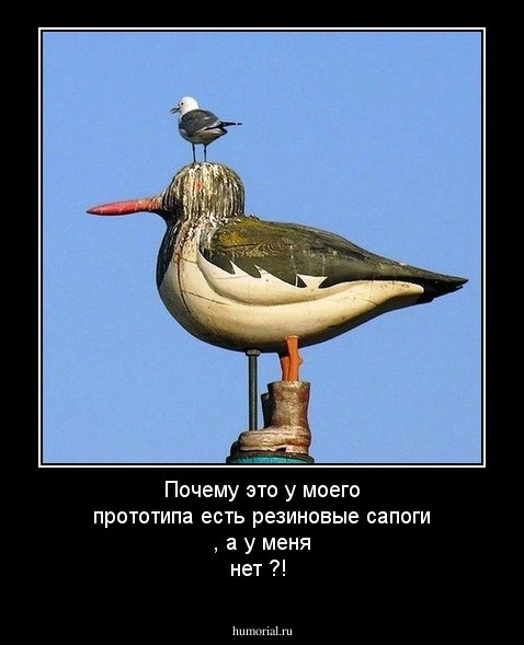 Почему это у моего прототипа есть резиновые сапоги , а у меня нет ?!