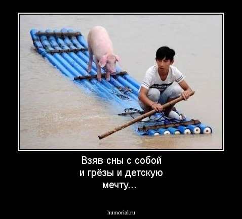Взяв сны с собой и грёзы и детскую мечту...