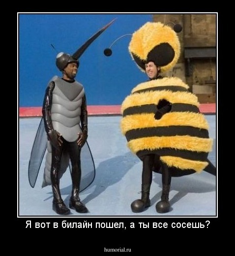 Я вот в билайн пошел, а ты все сосешь?