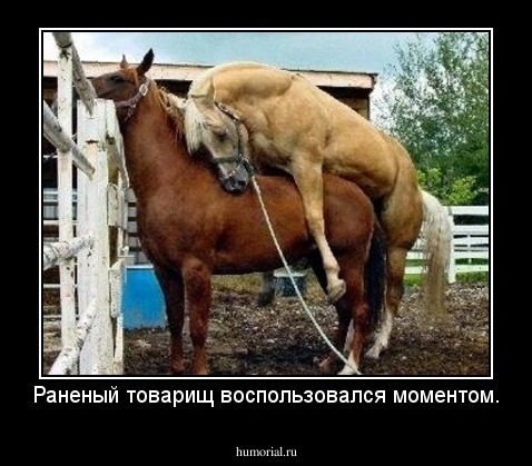 Раненый товарищ воспользовался моментом.