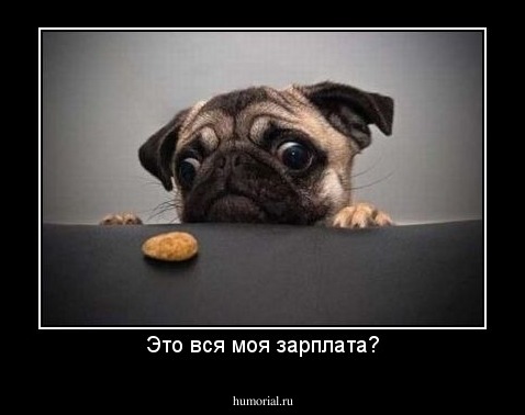 Это вся моя зарплата?