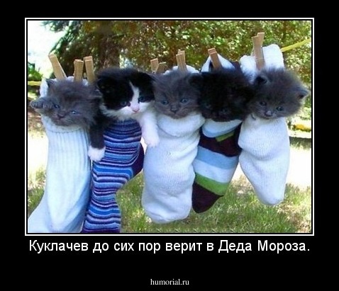 Куклачев до сих пор верит в Деда Мороза.