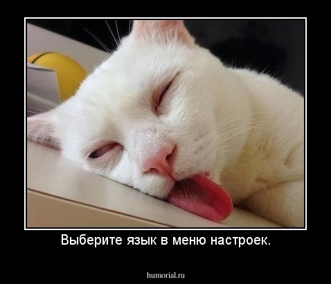 Выберите язык в меню настроек.