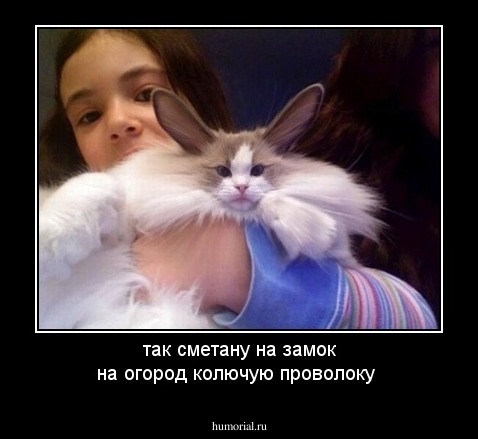 так сметану на замок на огород колючую проволоку 