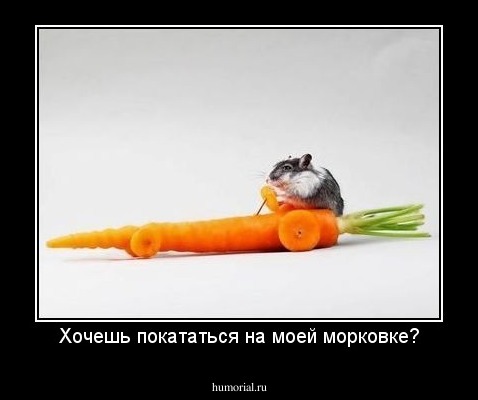 Хочешь покататься на моей морковке?