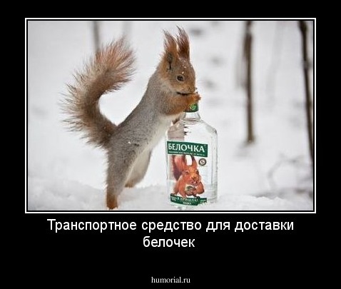 Транспортное средство для доставки белочек