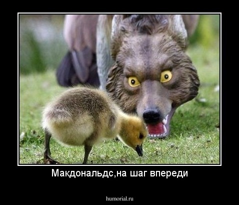 Макдональдс,на шаг впереди