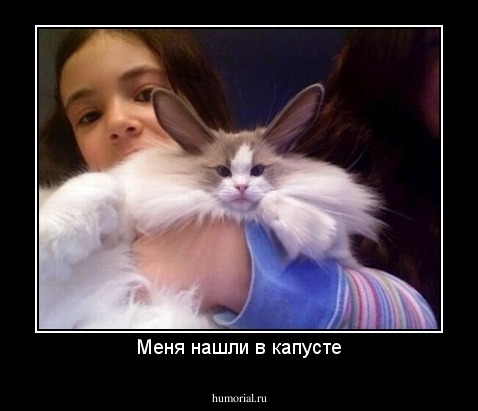 Меня нашли в капусте