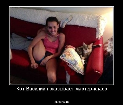 Кот Василий показывает мастер-класс