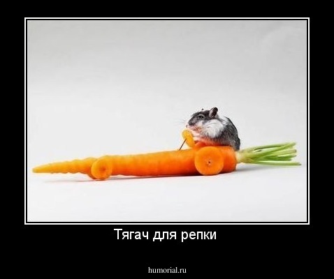 Тягач для репки 