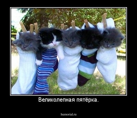 Великолепная пятёрка.