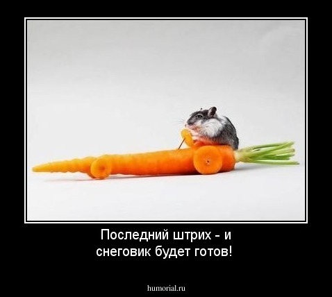 Последний штрих - и снеговик будет готов!