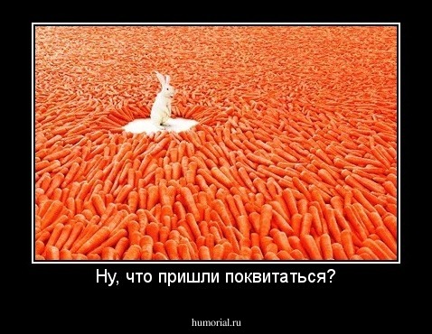 Ну, что пришли поквитаться?
