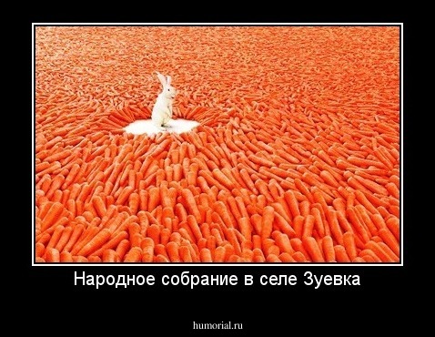 Народное собрание в селе Зуевка