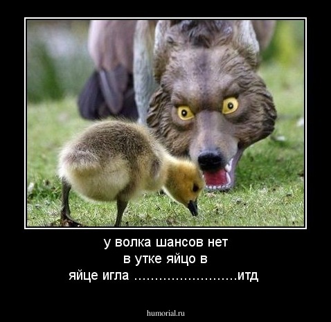 у волка шансов нет в утке яйцо в яйце игла .........................итд