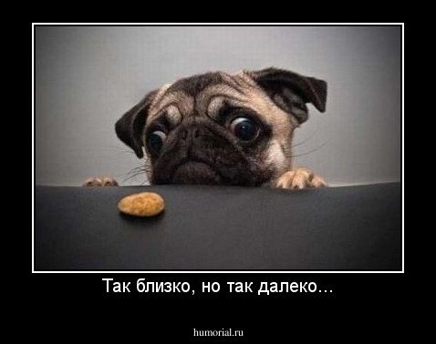 Так близко, но так далеко...