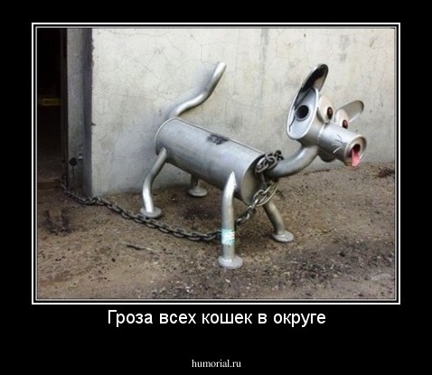 Гроза всех кошек в округе
